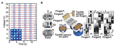 Tactile Perception Technologies and Their Applications in Minimally Invasive Surgery: A Review